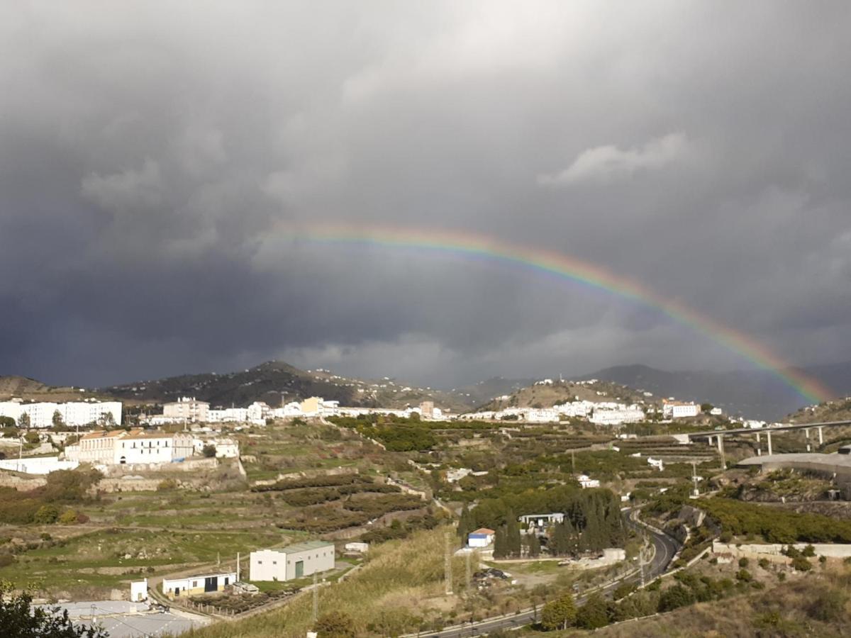 Casa Carino Daire Torrox Dış mekan fotoğraf