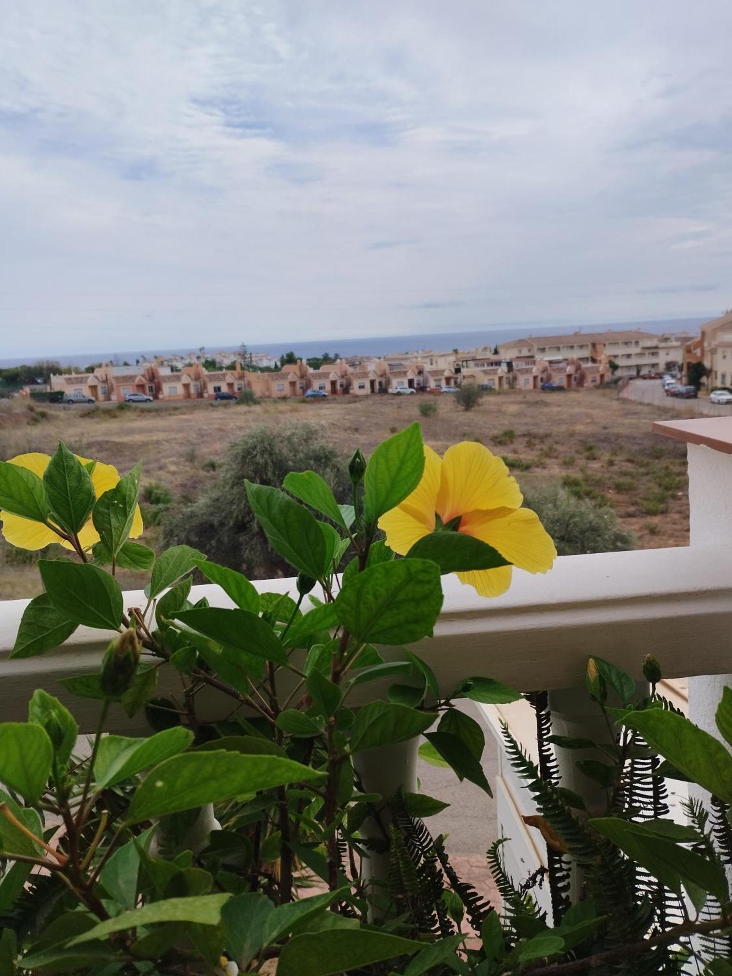 Casa Carino Daire Torrox Dış mekan fotoğraf